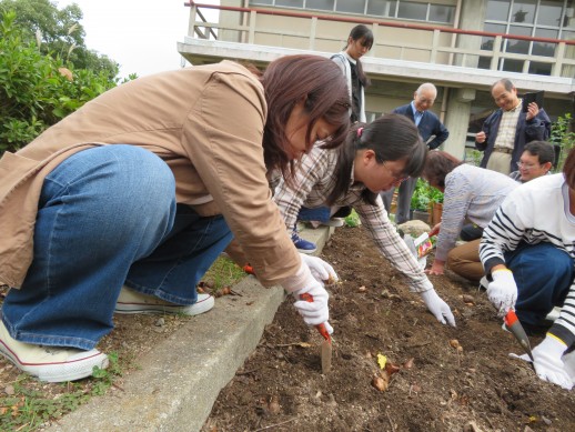 球根を丁寧に植栽