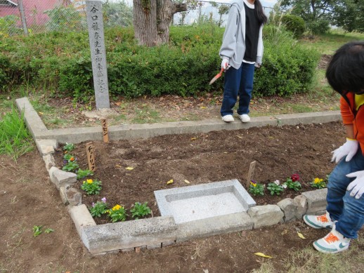 植栽ができた花壇 まだビオラとパンジーしか咲いていない。 （１１月１７日）