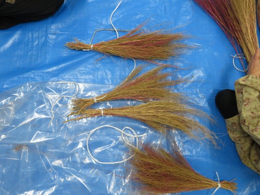 一束で一人分のコキアのホウキになります