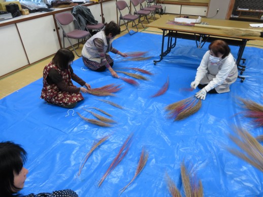 曲がったコキア、真っ直ぐなコキアで３つに分けています。