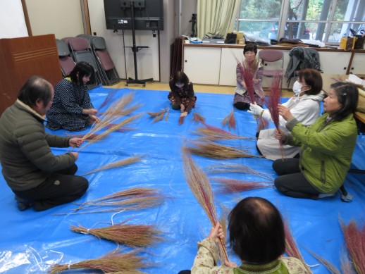 仕分けが出来たら曲がったコキアが中を向くように整えます