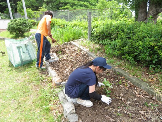 花壇に積もった落ち葉を掃除