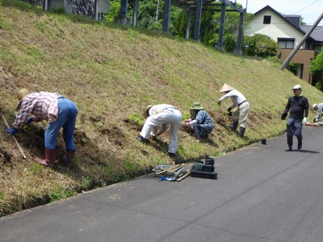 植栽作業